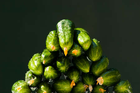 Cucumbers are stacked in a heap on a black backgroundの写真素材