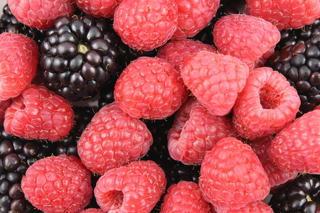 fresh blackberry and red raspberry fruits closeup as a food background texture