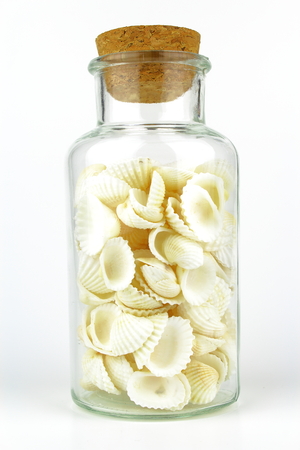 souvenir bottle with cockle shells isolated on a white background, souvenir from the seaの写真素材