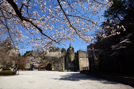Cherry blossoms and Otani statueのeditorial素材