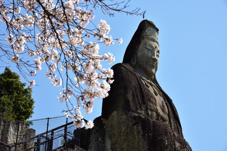 Cherry blossoms and Otani statueのeditorial素材
