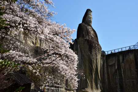 Cherry blossoms and Otani statueのeditorial素材