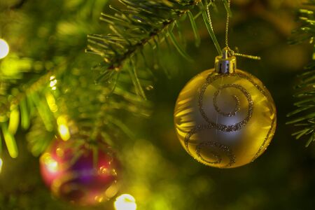 Christmas decoration in real treeの写真素材