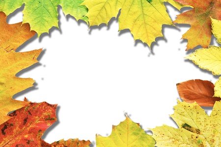 Herbstlaub Freisteller