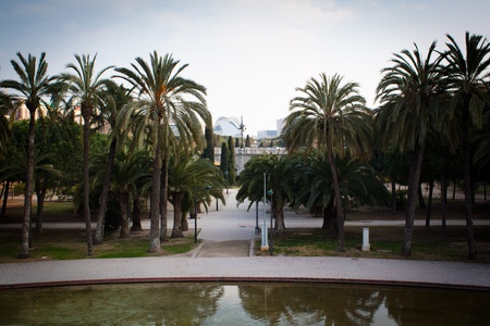 View from a bridge over central park Valencia, Spain