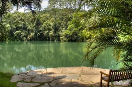 Lake in Inhotim, Brazilの写真素材