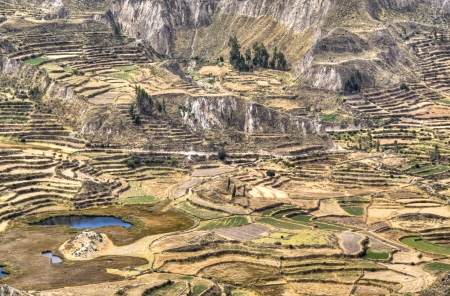 Terraces at the Colca Canyon near Arequipa, Peru