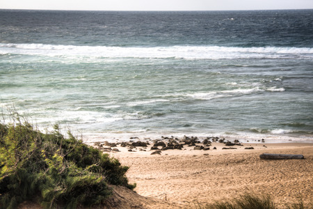 Very rustic and empty beach at the Indian Ocean in the coastal town Praia do Tofo in Inhambane, Mozambiqueの写真素材