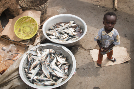ACCRA, GHANA - JANUARY 2016: A small African boy with two baskets with fish in the fishing village of Jamestown, Accra, Ghana at the Gulf of Guineaのeditorial素材