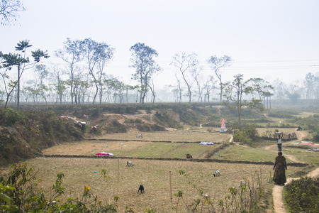SRIMANGAL, BANGLADESH - FEBRUARY 2017: Tea fields with people in Srimangal in the Sylhet division of Bangladeshのeditorial素材