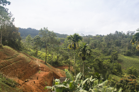 Landscapes in the highlands between Kandy and Ella in Sri Lanka, these can be seen from the train rideの写真素材