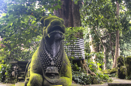 The monkey sanctuary is one of the most famous tourist spots in Ubud on Bali, Indonesiaの写真素材