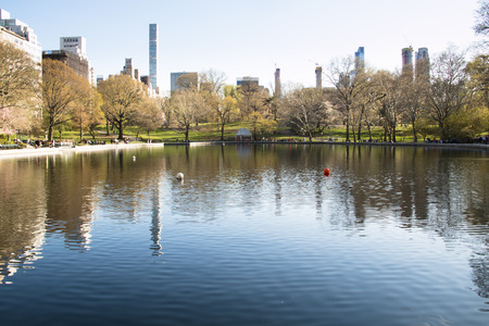 Central Park in downtown Manhattan with the New York City skyline in the background