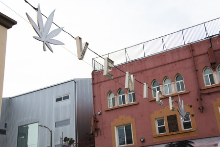 The famous Venice Beach, an icon at the coast of Los Angeles