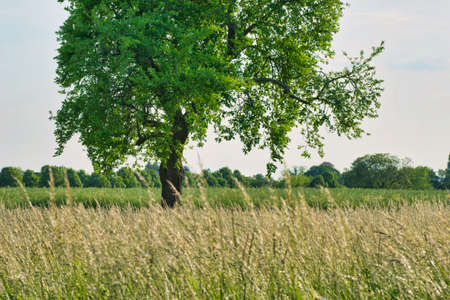 landscape view of the countrysideの写真素材
