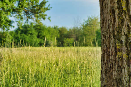 beautiful landscape view at the countrysideの写真素材
