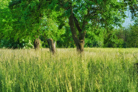 beautiful landscape view at the countrysideの写真素材