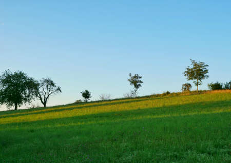 Beautiful landscape view of green nature.の写真素材