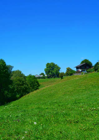 beautiful landscape of the tranquil green fields in switzerlandの写真素材