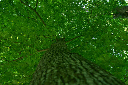 beautiful green nature near the aare river in switzerland