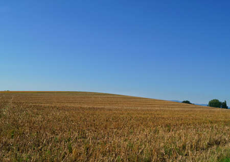 beautiful landscape view of the green natural  swiss countryside in jegestorfの写真素材