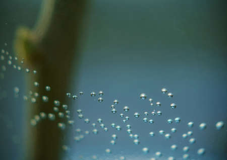 Abstract macro closeup of water bubbles. in the old town Bern, Switzerlandの写真素材