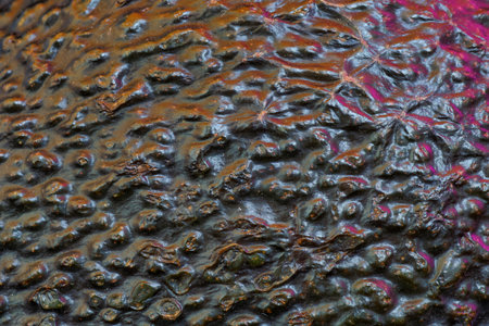 Beautiful texture and details, close up macro photo of an avocado skin.
at the Bahnstadt in Heidelberg, Germanyの写真素材