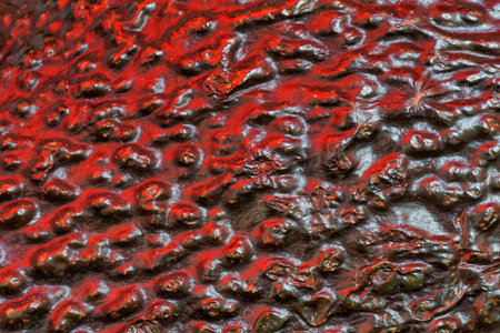 Beautiful texture and details, close up macro photo of an avocado skin.
at the Bahnstadt in Heidelberg, Germanyの写真素材