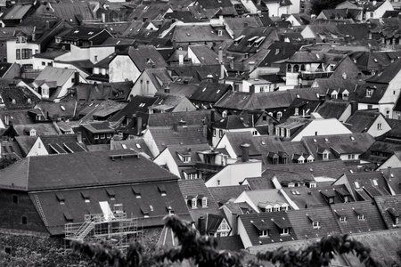 the beautiful scenic view of the old town city center
from the Philosophenweg in Heidelberg, Germanyの写真素材