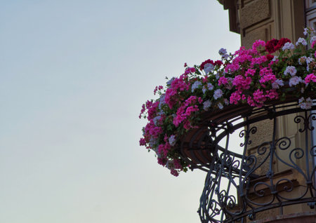 the beautiful architecture of the old houses and buildings at the old town city center in Heidelberg, Germanyの写真素材