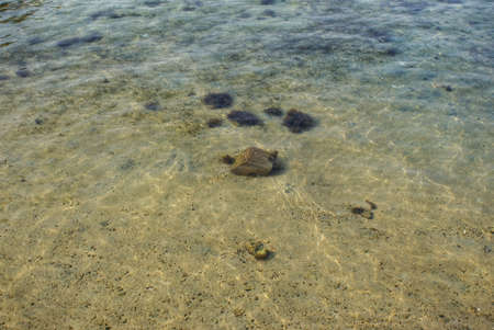 Clear waters at the red sea coastline, in Jeddah, Saudi Arabiaの写真素材