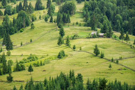 Beautiful summer mountain landscape hills.の写真素材