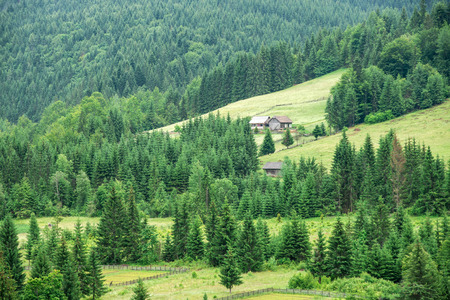 Traditional wooden mountain house on green field in summer.の写真素材