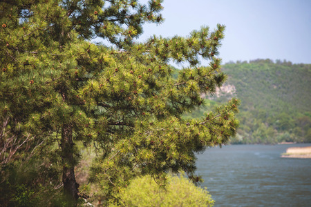 Beautiful summer water landscape in the sunbeam.の写真素材