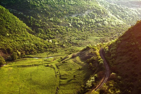 Curving Railway Track through a summer Forest.の写真素材