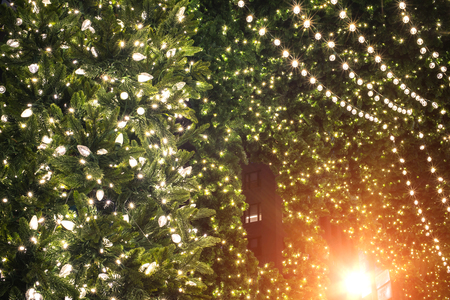 The lights on the Christmas tree decoration background.の写真素材