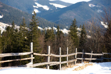 Beautiful winter landscape in the Carpathian mountains.