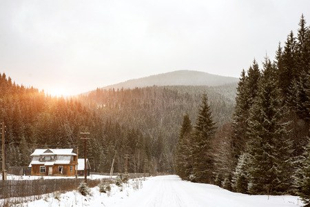 Cold day up in mountains with a road that people have gone over. snow on the sunset.
