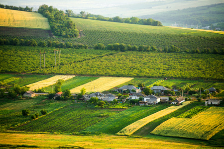 Sunny morning in mountain. Beautiful landscape compositionの写真素材