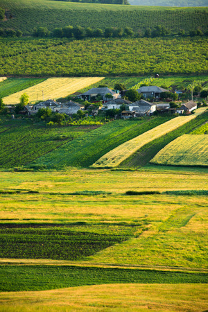 Sunny morning in mountain. Beautiful landscape compositionの写真素材