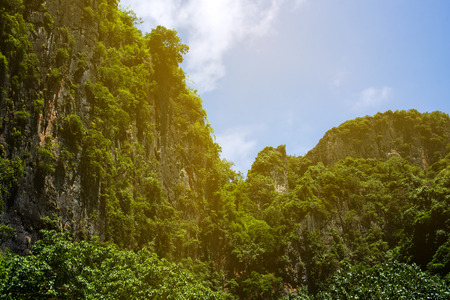 Travel vacation background - Tropical island with resorts - Phi-Phi island, Krabi Province, Thailandの写真素材