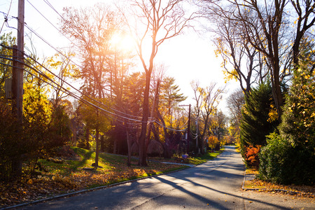 curve road to village on hillside near autumn forestの写真素材