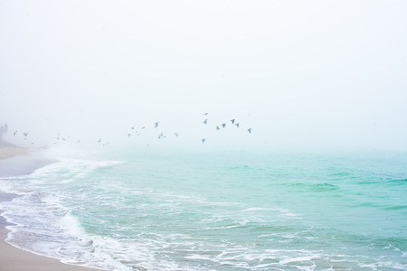 Sand beach in winter time. Foggy morning.の写真素材