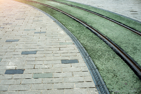 railways on the green street in the daylightの写真素材
