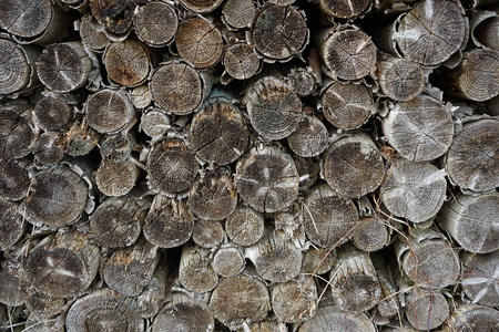wood pattern backround