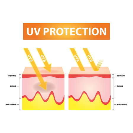 UV protection skin vectorのイラスト素材