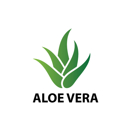 Aloe vera nature leaf icon , logo vector illustrationのイラスト素材