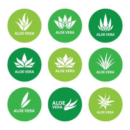 Aloe vera nature leaf icon, logo vector illustrationのイラスト素材