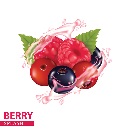 Berries splash vector illustrationのイラスト素材