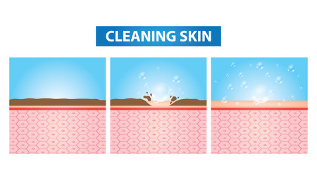 Cleaning skin vector illustrationのイラスト素材